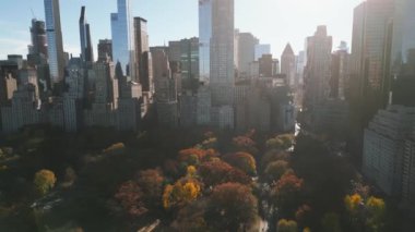 New York Central Park 'ta sonbahar. Sonbahar yeşillikleri olan New York Central Park. Central Park 'ın sonbahar renginde havadan çekimi. Central Park 'ın en güzel sonbahar yeşillikleri manzarası.