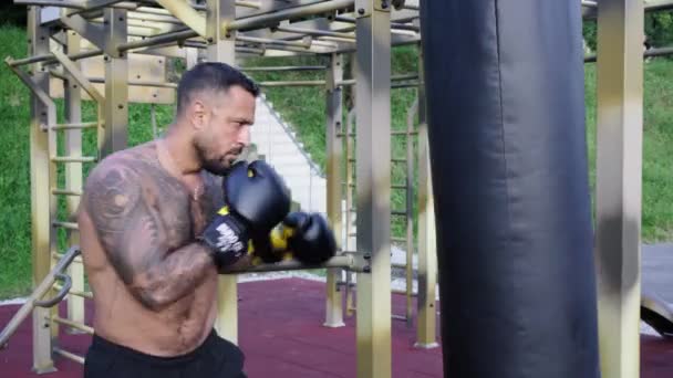 Esportista Boxeador Lutando Livre Conceito Desporto Boxe Boxer Masculino Perfurando — Vídeo de Stock