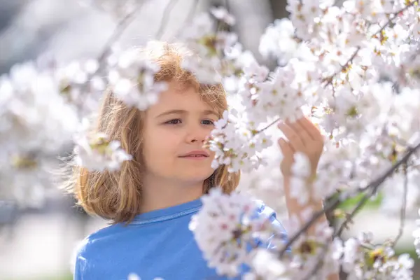 Happy Spring Close Portrait Smiling Child Face White Cherry Blossom — Stock Photo, Image