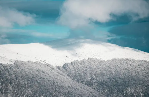 Winterlandschap Met Besneeuwde Achtergrond Winter Kerstbos Met Vallende Sneeuw Bomen — Stockfoto