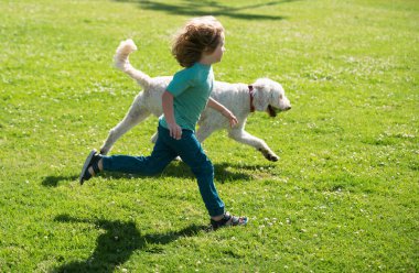Parkta köpekle koşan bir çocuk. Yavru köpeği olan bir çocuk bahçedeki çimlerde oynuyor.