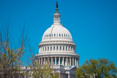 ABD Kongre Binası ve Kubbesi, Washington, DC 'deki Kongre Binası. Washington DC Capitol Kubbesi detayı. Amerikan sembolü