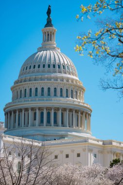 Washington, DC 'deki ABD Kongre Binası. Birleşik Devletler Kongre Binası - Washington DC ABD. Amerikan Kongresi