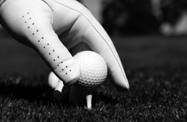 Golf sahasında golf topuna el sürmek. Çimlerde golf topu. Golf topu atışa hazır.
