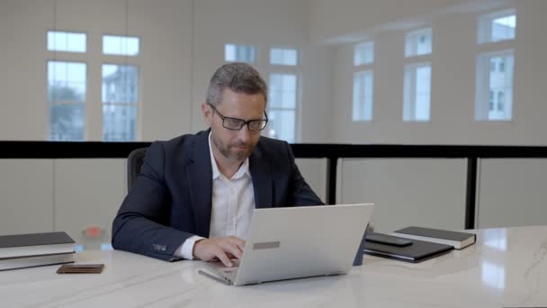 Tampan Pria Bisnis Bekerja Dengan Laptop Kantor Penata Bisnis Rambut — Stok Video
