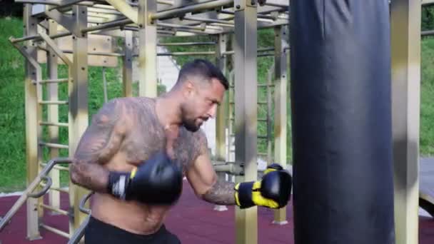 Esportista Boxeador Lutando Livre Conceito Desporto Boxe Boxeador Bater Num — Vídeo de Stock