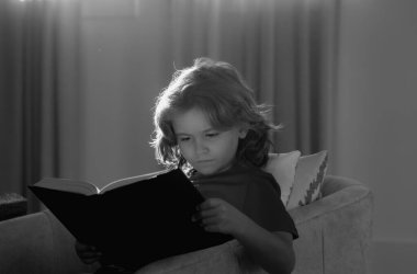 Kitabı olan bir okul çocuğu. Çocuk oturma odasında kitap okuyor. Çocuklar kitap okur. Küçük çocuk güneşli oturma odasında kanepede oturmuş masal kitabındaki resimleri izliyor.