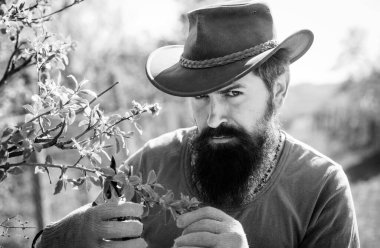 Çiftçi bahar doğasını sever ve bitkileriyle ilgilenir. Dünya günü. Meyve bahçesinde çiftçi grefti