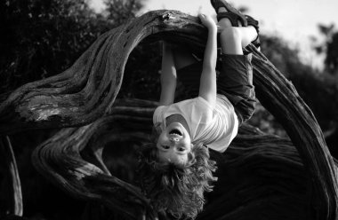 Ağacın dalından sarkan komik şirin çocuk. Yaz zamanı.