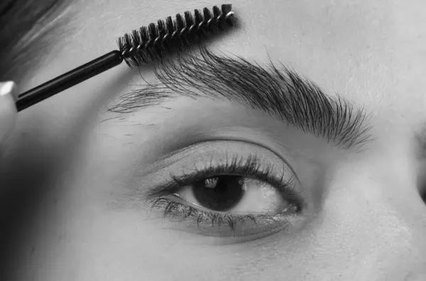 Perfect eyebrow. Close up of woman getting eyebrow make-up. Macro applying cosmetics on her eyebrow with brush. Perfect shape of eyebrow, brown eyeshadows and long eyelashes. Shape eyebrows