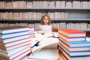 Okullu çocuk. Bir sürü kitabı olan okul çocuğu. Çocuklar okul kütüphanesinde kitap hikayesinin keyfini çıkarıyorlar. Çocukların hayal gücü, edebiyata olan ilgisi. Akıllı çocuklar. Çocuk eğitimi, sınıfta kitap okumak.