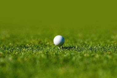 Golf topu atışa hazır bekliyor. Golf kulübü geçmişi. Arka planda fotokopi alanı olan spor topu