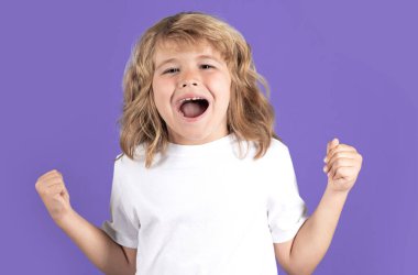 Heyecanlı çocuk stüdyo izole edilmiş arka planda zaferi kutluyor. Şaşırmış yüz, çocuksu duygular. Neşeli, evet jest ve başarı kavramı