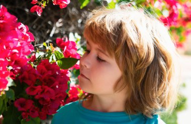 Kaygısız şirin çocuk. Parktaki bahçıvan. Çocukların çiçek alerjisi. Dışarıda çiçek kokusu alan küçük bir çocuk. Çiçek koklayan çocuk