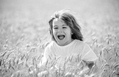 Buğday tarlasında heyecanlı çocuklar. Buğday tarlasında mutlu çocuk yukarı bakıyor. Buğday tarlasında gülen çocuk. Çocuk gülen surat