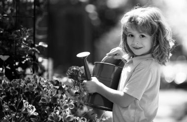 Arka bahçede bitkileri sulayan aktif bir çocuk. Çocuk bahçede bitki ve çiçek yetiştirmeye yardım ediyor.