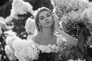 Bahar bahçesinde çiçek açan ortanca çiçeklerinin içinde şehvetli bir kadın. Ortancalar çiçekleri çalılar. Bahçede çiçek açan bir ortancanın yanında bir kadın.