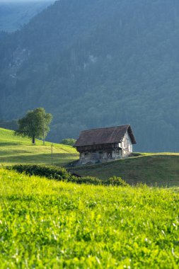 Alpler eski ahşap ev. Avrupa Alplerindeki Eski Ev. Ormandaki eski kulübe. Avrupa Alplerinde harap olmuş bir ev. Alp Vadisi 'ndeki küçük bir kasabada eski köy evleri
