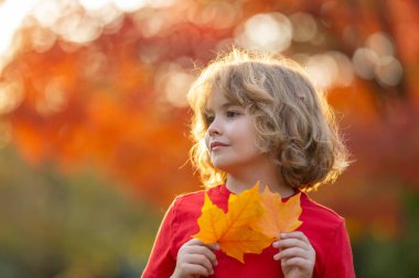 Sonbahar Çocuk Portresi ve Sonbahar Sarı Yaprakları. Autumn Park 'ın dışındaki güzel çocuk. Parkın dışındaki yaprakları tutan sevimli çocuk yüzünü kapat. Çocukluk, sonbahar ve eğlence. Sonbahar yeşilliği