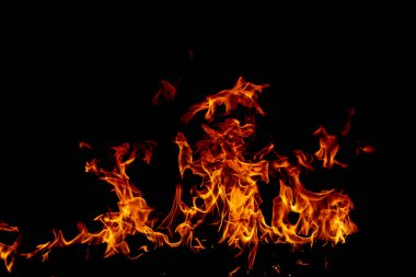 Siyah arka planda yanan ateş ve ateş