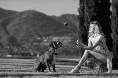 Eğitim köpekleri. Kadın boksör köpeğiyle oynuyor. Genç kız boksör köpeğine top atıyor. Sevimli hayvan. Sahibi köpek koruması altında.