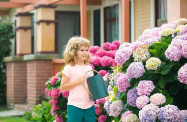 Bahçede sulama tenekesiyle çiçek sulayan şirin bir çocuk. Küçük sevimli bir çocuk ailesinin çiçek yetiştirmesine yardım ediyor. Çocuklarla aktif tatiller