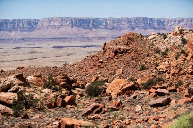 National Park, Arizona. Canyon desert panoramic view landscape