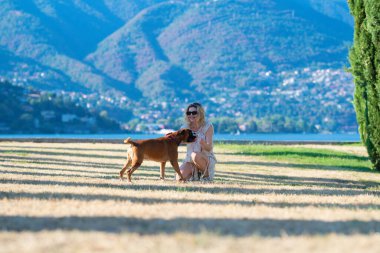 Eğitim köpekleri. Kadın boksör köpeğiyle oynuyor. Genç kız boksör köpeğine top atıyor. Sevimli hayvan. Sahibi köpek koruması altında.