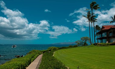 Hawaii 'deki doğa manzarası, berrak denizde palmiye ağacı olan tropikal plaj.