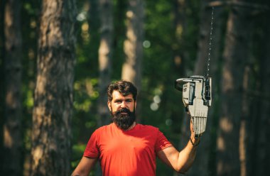 Tahta testereli baltayla ormanda oduncu. Kereste hasadı. Oduncu oduncu. Sakallı yakışıklı bir genç adam ağaç taşıyor.