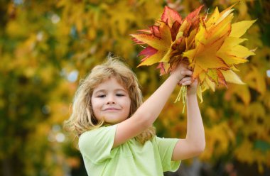 Çocuklar sonbahar yapraklarıyla parkta oynarlar. Sarı yaprakları atan çocuklar. Çocuk akçaağaç yaprağı tutuyor. Düşen yapraklar. Sonbaharda aile açık hava eğlencesi. Eylül, konsepte dönelim.