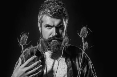 Sakal kremi. Sakal bakımı konsepti. Dikenli kıl derisini tahriş etti. Sakallı bir adam için şampuan ve saç kremi. Erkek güzellik hizmetleri, sakal bakımı. Sakal yağı. Uzun sakal