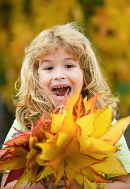 Happy fall, funny autumn. Happiness and joyful child in autumn park