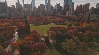 New York Şehri Central Park. Autumn Tree 'nin üst manzarası. İnsansız hava aracından Autumn Central Park manzarası. New York Havacılık, Sonbaharda panorama. Central Park 'ta sonbahar. Central Park Yaprakların Sonbahar Renkleri