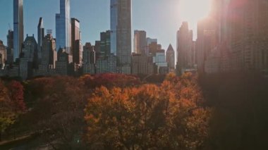 New York Şehri Central Park. Autumn Tree 'nin üst manzarası. İnsansız hava aracından Autumn Central Park manzarası. New York Havacılık, Sonbaharda panorama. Central Park 'ta sonbahar. Central Park Yaprakların Sonbahar Renkleri