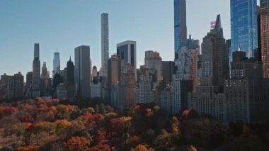 Central Park 'ın sonbaharında, şehir merkezindeki gökdelenler insansız hava aracı manzaralı. Sonbaharda New York City Manhattan Central Park Havalimanı panoraması. Central Park 'ta sonbahar. Sonbahar New York. Central Park Sonbahar Yeşilliği