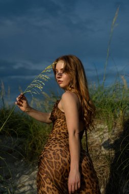 Güzellik Portresi. Yazlık moda elbisesi içinde güzel bir kadın. Genç, güzel bir bayanın açık havada çekilmiş bir fotoğrafı.