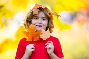 Sonbahar Çocuk Portresi Sonbahar Sarı Yaprakları, Sonbahar Sonbahar Parktaki Küçük Çocuk. Parkta Güzel Çocuk, Sonbahar için Kıyafetler
