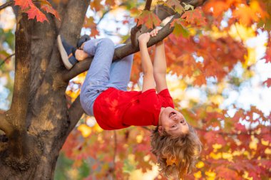 Bahçedeki sonbahar ağacına tırmanan komik çocuk. Sonbahar parkında oynayan aktif bir çocuk. Güneşli sonbaharda sarı sonbahar yapraklarıyla dallara baş aşağı tırmanan sevimli çocuk portresi.