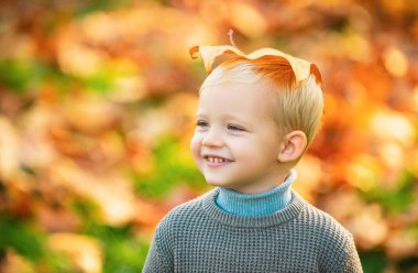 Sonbahar çocuğu eğleniyor ve düşmüş altın yapraklarla oynuyor. Sevimli küçük çocuk sonbaharın tadını çıkarıyor. Doğanın mutlu bir yüzü var. Çocuk portresi. Yakın plan.