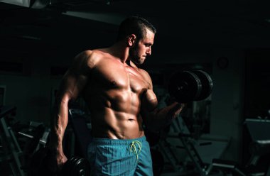 Vücut geliştirici, spor salonunda dambıl egzersizleri yapıyor. Gövdesiz sporcu. Sportif egzersiz. Atletik vücut