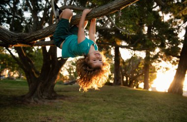 Bahçedeki ağaca tırmanan komik çocuk. Açık havada oynayan aktif bir çocuk. Güneşli bir günde ağaç dalında oturan sevimli çocuk portresi. Çocuk ağaca tırmanıyor. Çocukluk kavramı