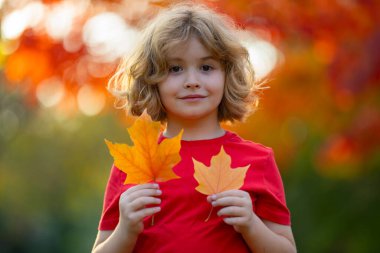 Sonbahar Çocuk Portresi ve Sonbahar Sarı Yaprakları. Autumn Park 'ın dışındaki güzel çocuk. Parkın dışındaki yaprakları tutan sevimli çocuk yüzünü kapat. Çocukluk, sonbahar ve eğlence. Sonbahar yeşilliği