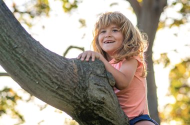 8 yaşında bir çocuk parkta yüksek ağaca tırmanıyor. Yükseklik korkusunu yenmek. Mutlu bir çocukluk. Çocuk ağaca tırmanmaya çalışıyor.