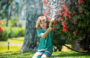 Küçük bahçıvan çocuk bahçedeki bahçe hortumuyla çiçekleri sulamaya yardım ediyor. Mevsimlik bahçe işleri