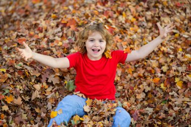 Sonbahar yaprakları arasında oynayan bir çocuk. Sonbahar parkına sonbahar yaprakları atan çocuk. Çocuk eğlencesi. Sonbahar sarı yaprakları atan güzel bir çocuk. Neşeli çocuk sonbaharda yapraklarla oynuyor.