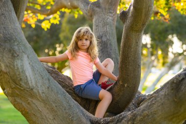 Funny child climbing a tree in the garden. Active kid playing outdoors. Portrait of cute kid boy sitting on the branch tree on summer day