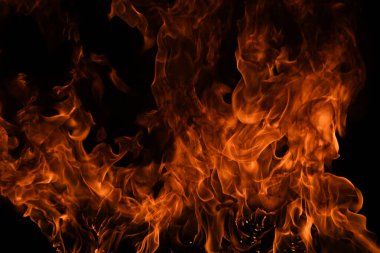 Siyah arka planda yangın alevleri. Ateş, izole edilmiş, soyut bir yapı. Yanan ateşle yanan patlama efekti
