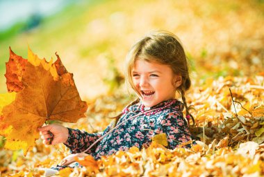 Warm sunny weather. Smiling kid over autumn natural background. Playing in the autumn park. Children play outdoors