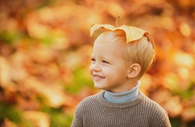 Gülümseyen sarışın çocuk sonbahar yapraklarını doğada tutuyor. Küçük beyaz bir çocuğun sonbahar portresi.